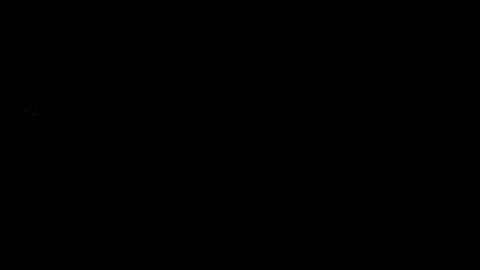 23321