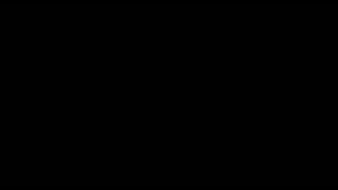 29006