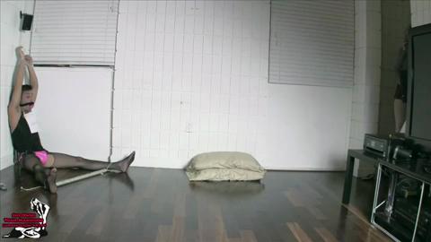 23193