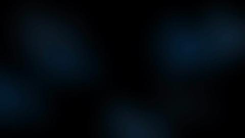 22550